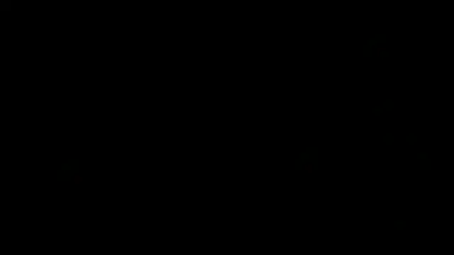 הופעת וובקאם של flexingplexico