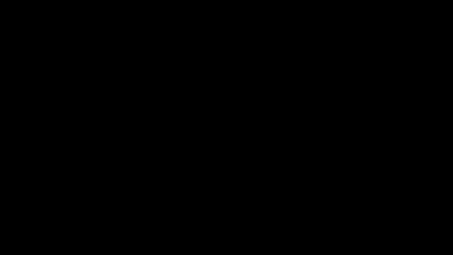 הופעת וובקאם של flexingplexico