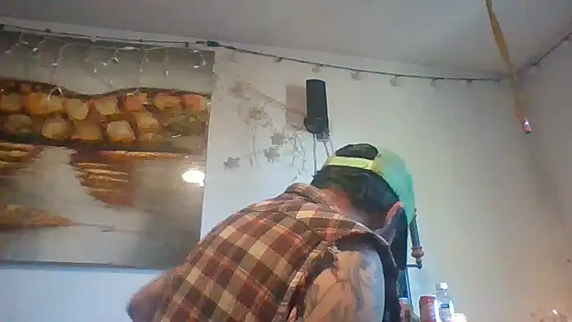 Show webcam de theboobietrap