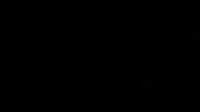 flexingplexico: вебкам-шоу