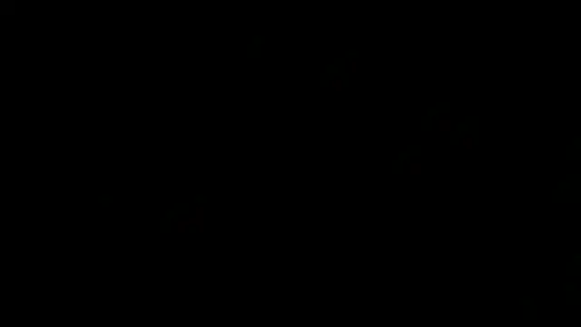 flexingplexico ওয়েবক্যাম শো