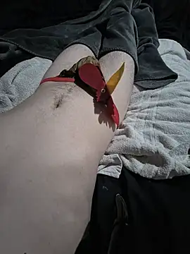 AllwaysHornyJamesn Webbikameraesitys