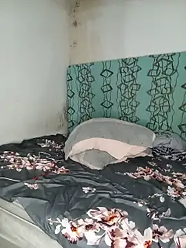 Chat XXX ao vivo de TransBollat