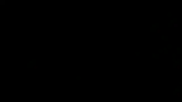 flexingplexico Show in webcam