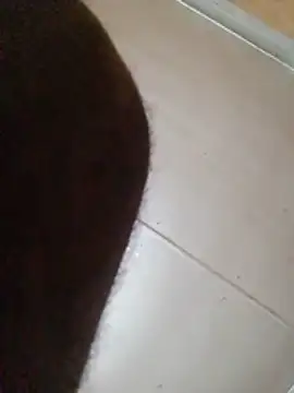 NatybeeZa 웹캠 쇼