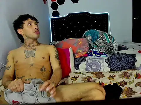 Artpol_Librion – webcam-show