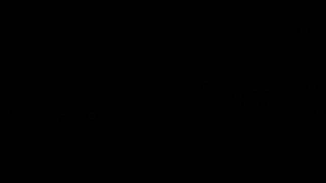 عرض كام flexingplexico