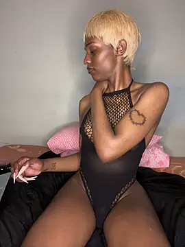 צ'אט XXX בשידור חי של Trans_fairy