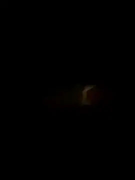 Sexdoctorgod's Webcam Show