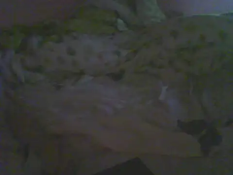 Bebita-zmp Chat XXX in diretta