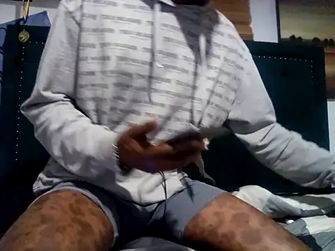 Show webcam de Blkstylion