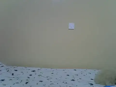 Eebony1 Chat XXX in diretta