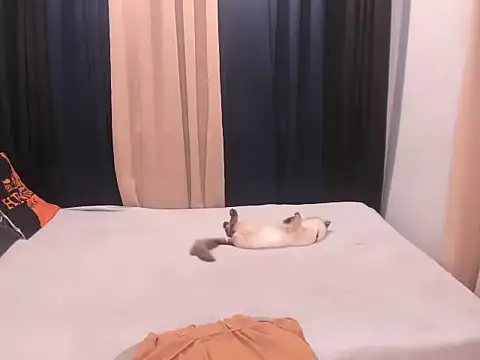 Živý XXX chat YourAsianHeart