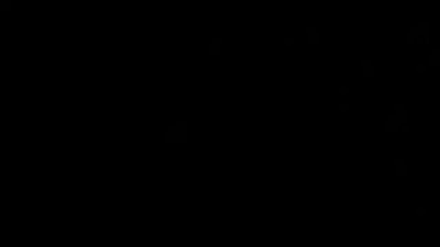 flexingplexico webkamerás műsora