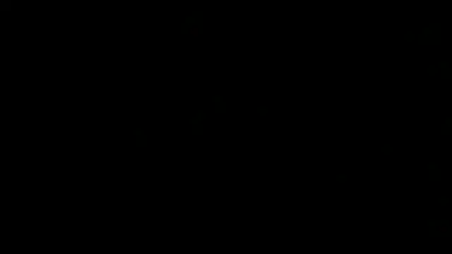 Show webcam de flexingplexico