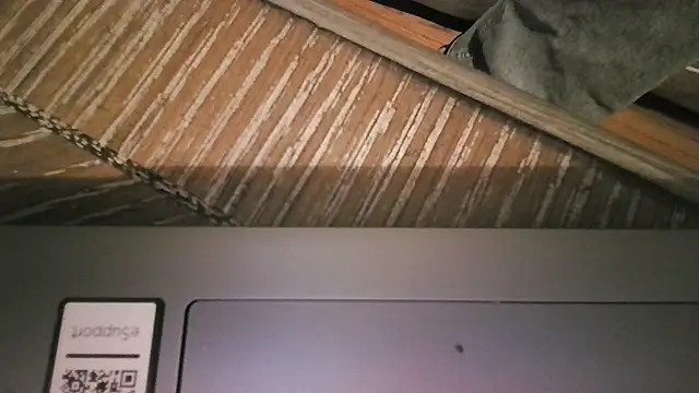 The_Real_aDDix269's Live XXX Chat