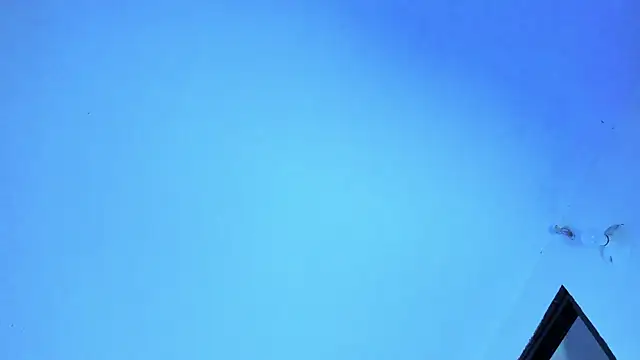 Онлайн чат XXX Axel_hendrick