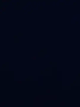 Bogusdicus Live XXX-Chat