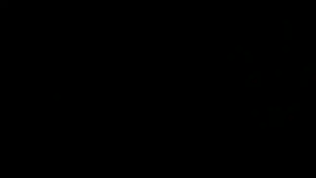 flexingplexico élő XXX-chatje