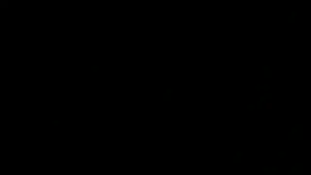 Show Webcam de flexingplexico