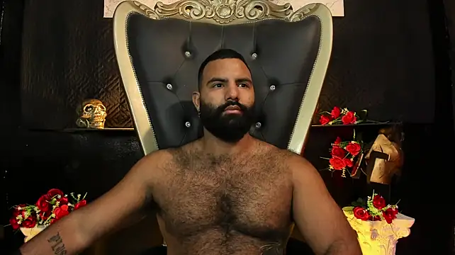 Chat +18 de BeardAndrew ao vivo