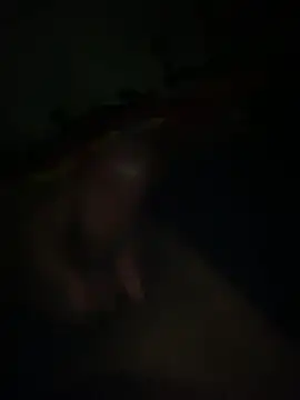 Net131Zone Webcam-Show