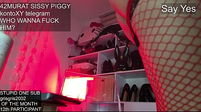 Miss_tentation Live XXX-chat