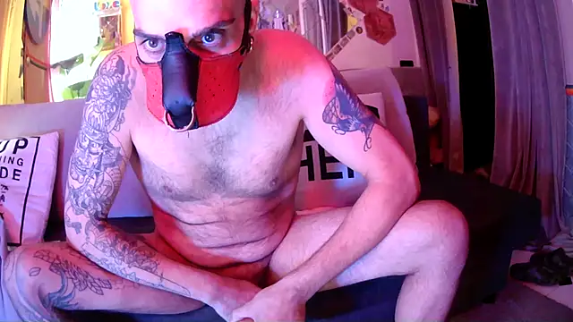 danix_wild_wolf Chat XXX live