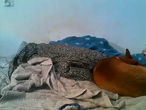 XXX chat uživo modela AdasMaly