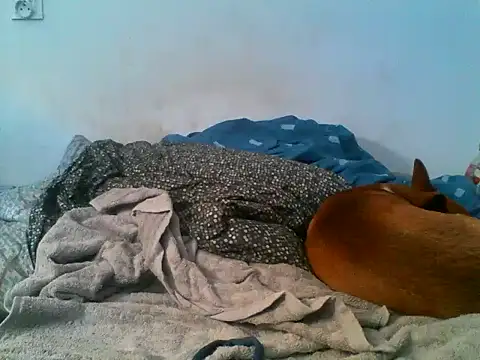 Chat XXX ao vivo de AdasMaly