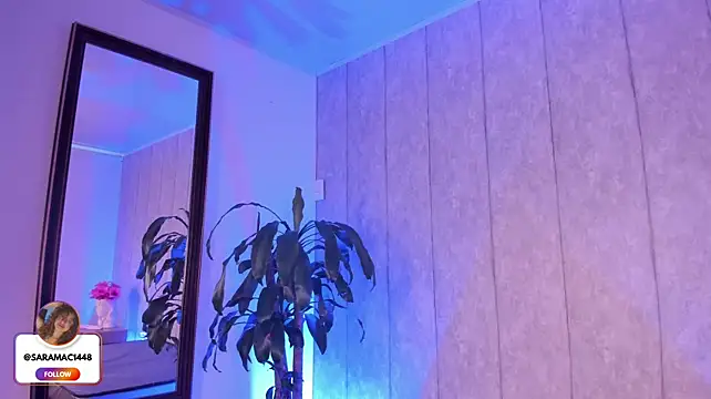 Chat +18 de cinnadol ao vivo