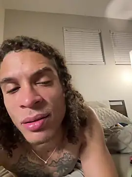 MetaGoon Show in webcam