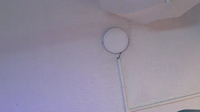 Alexxey_xのライブXXXチャット