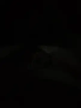 Dani00boy Webcam show