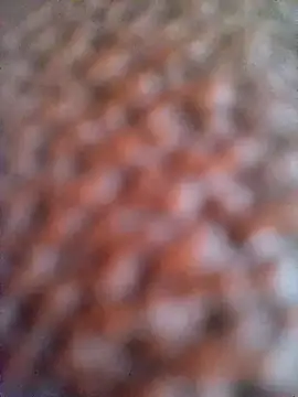 UPSCALE-D Webcamshow