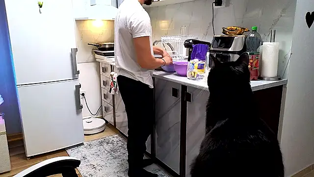 RyanStorm_ Chat XXX live