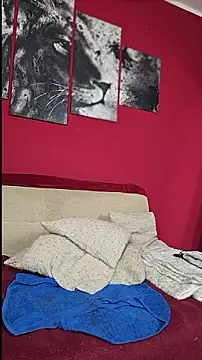 Chat +18 de Miss_Jozi ao vivo