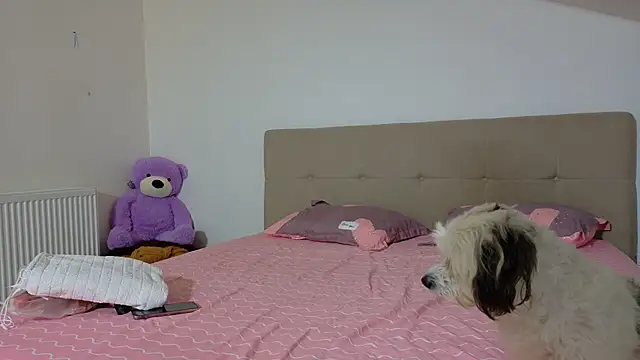 SweetMaddy888 Adlı Modelin Canlı XXX Sohbeti