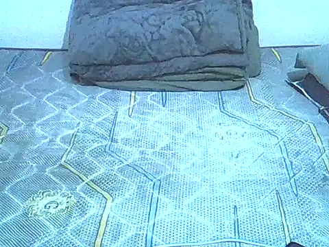 Chat +18 de Savage_SurXperience ao vivo