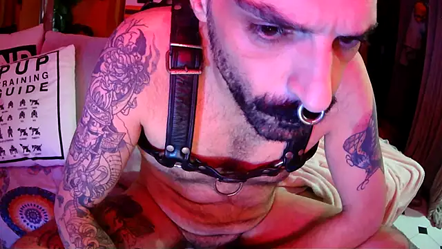 danix_wild_wolf Obrolan Langsung XXX