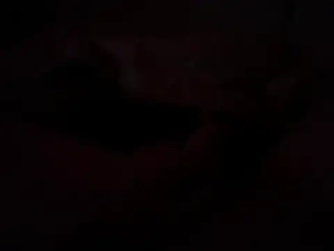 BAMA83 Show in webcam