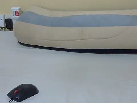 Scate Live XXX-chat
