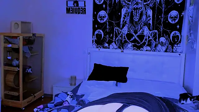 AllisonDeetz 라이브 XXX 채팅