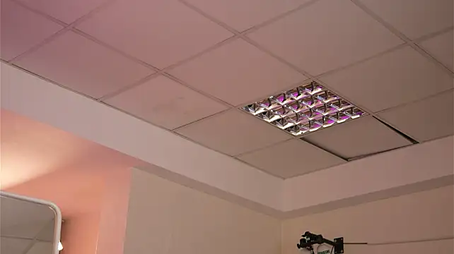 LalaRoze Chat XXX live