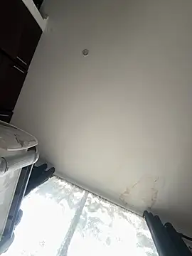 pawmistry's Webcam Show