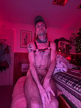 LendingPackrat Chat XXX live