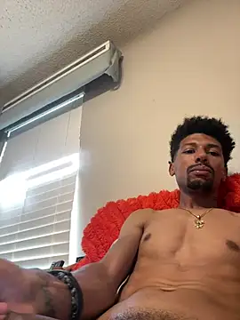 Chatroom XXX en direct de BigPrettyDick777