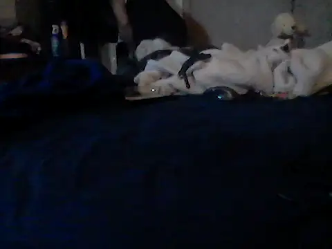 Chat +18 de Silencio26 ao vivo