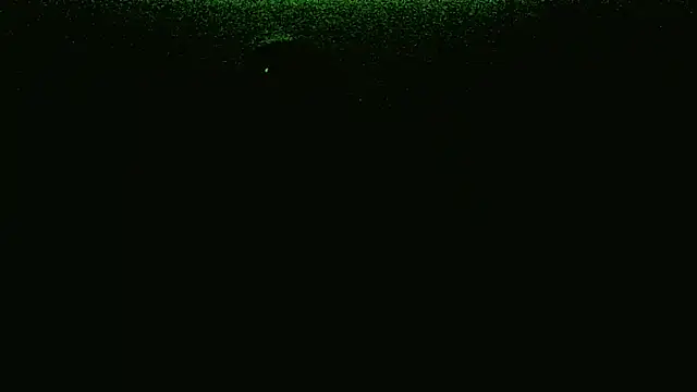 ORUOMA Live XXX-chat