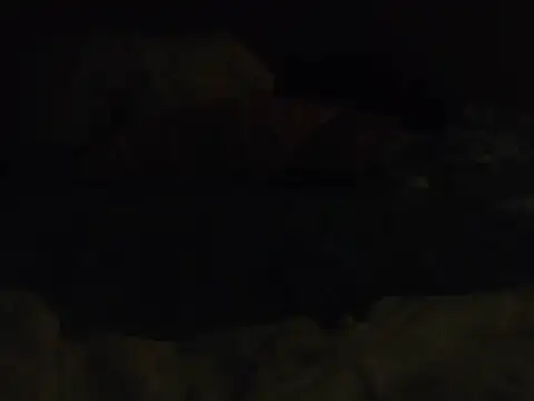 k-dong Show in webcam
